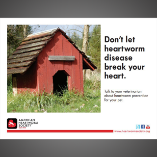 Don’t let heartworm disease break your heart (dog house)