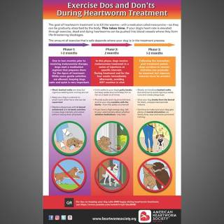 Do's and Don'ts of Exercise Restriction