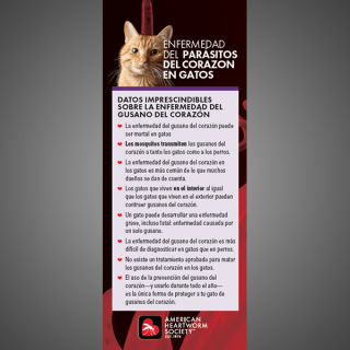 Feline brochure cover in Spanish 