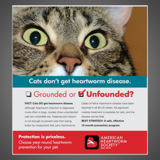Grounded or Unfounded: Cats don't get heartworm disease 