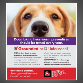 Grounded or Unfounded: Dogs taking heartworm preventives should be tested every year.