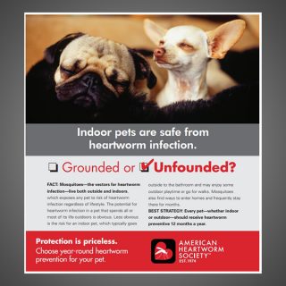 Grounded or Unfounded: Indoor pets are safe from heartworm infection.
