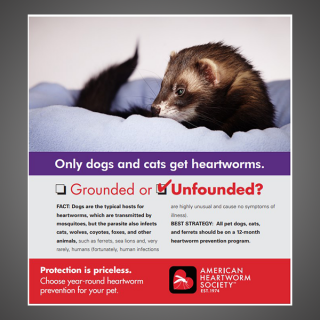Grounded or Unfounded: Only dogs and cats get heartworms.