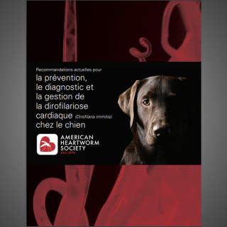 Canine Guidelines (French) 