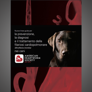 Canine Guidelines (Italian)  