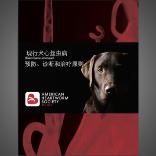 Canine Guidelines (Simplified Chinese) 
