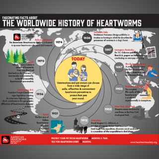 History of Heartworm infographic