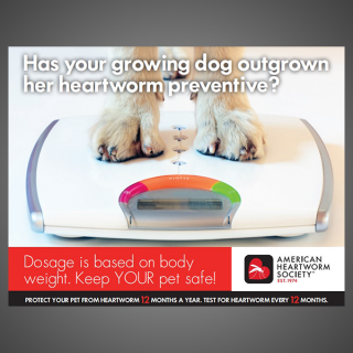 Think 12 Series: Has your growing dog outgrown her heartworm preventive