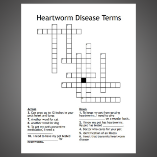 Heartworm Disease Crossword + Answer Key