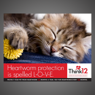 Think 12 Series: Heartworm protection is spelled L-O-V-E. (Cat)