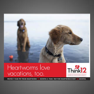 Think 12 Series: Heartworms love vacations, too. (Two Dogs)