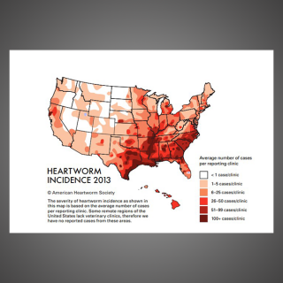 Incidence Map 2013