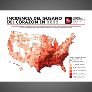 Incidence Map 2022 (Spanish)