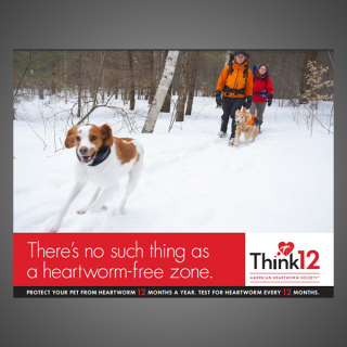 Think 12 Series: There's no such thing as a heartworm free zone. (Winter)