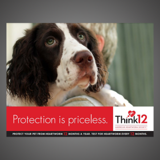 Think 12 Series: Protection is priceless. (Dog)