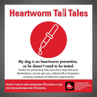 Heartworm Tall Tales - Testing