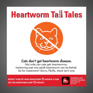 Heartworm Tall Tales - Cats