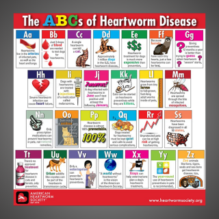 The ABCs of Heartworm Disease