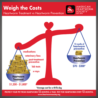 Weigh the Costs
