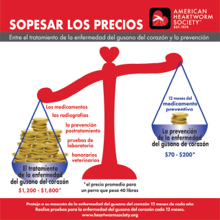 Weigh the Costs (Spanish)
