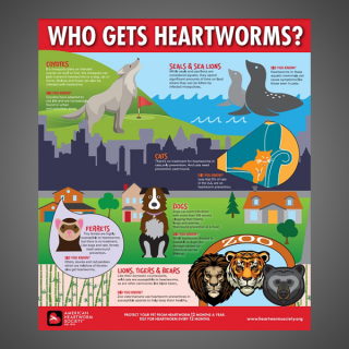 Who Gets Heartworms?
