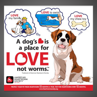 A Dog's Heart is a Place for Love, not Heartworms
