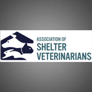 Decision-Making Considerations for Heartworm Management in Shelter Dogs