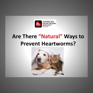 Can heartworms be prevented naturally?