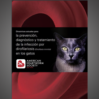 Feline Guidelines (Spanish)