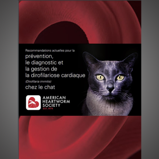 Feline Guidelines (French)  