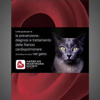 Feline Guidelines (Italian)  