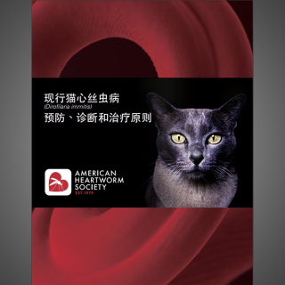 Feline Guidelines (Simplified Chinese)  