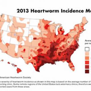 Heartworm Incidence Map