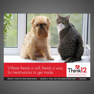 Think 12 Series: Where there's a will, there's a way for heartworms to get inside. (Dog & Cat)
