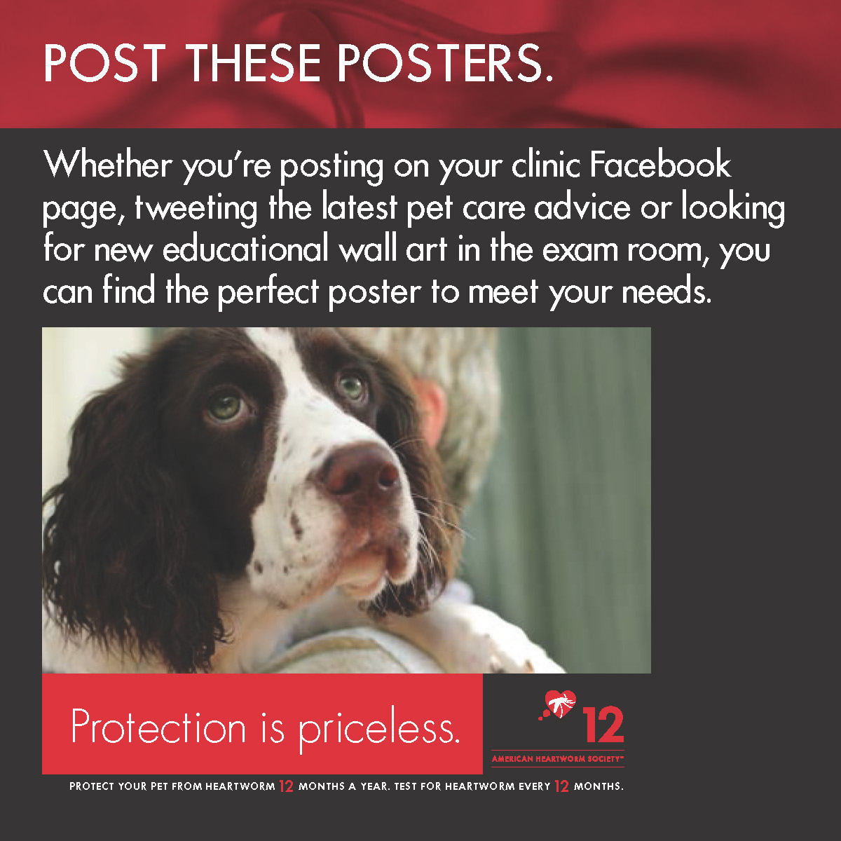 The AHS Guidelines 2018 Updates Guidance on Prevention, Testing and