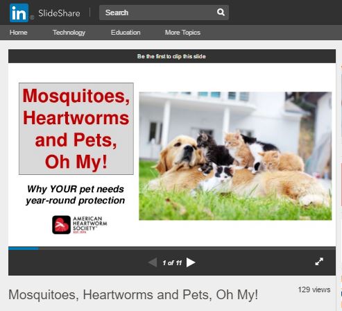 New Slideshow on Mosquitoes for Social Media Use